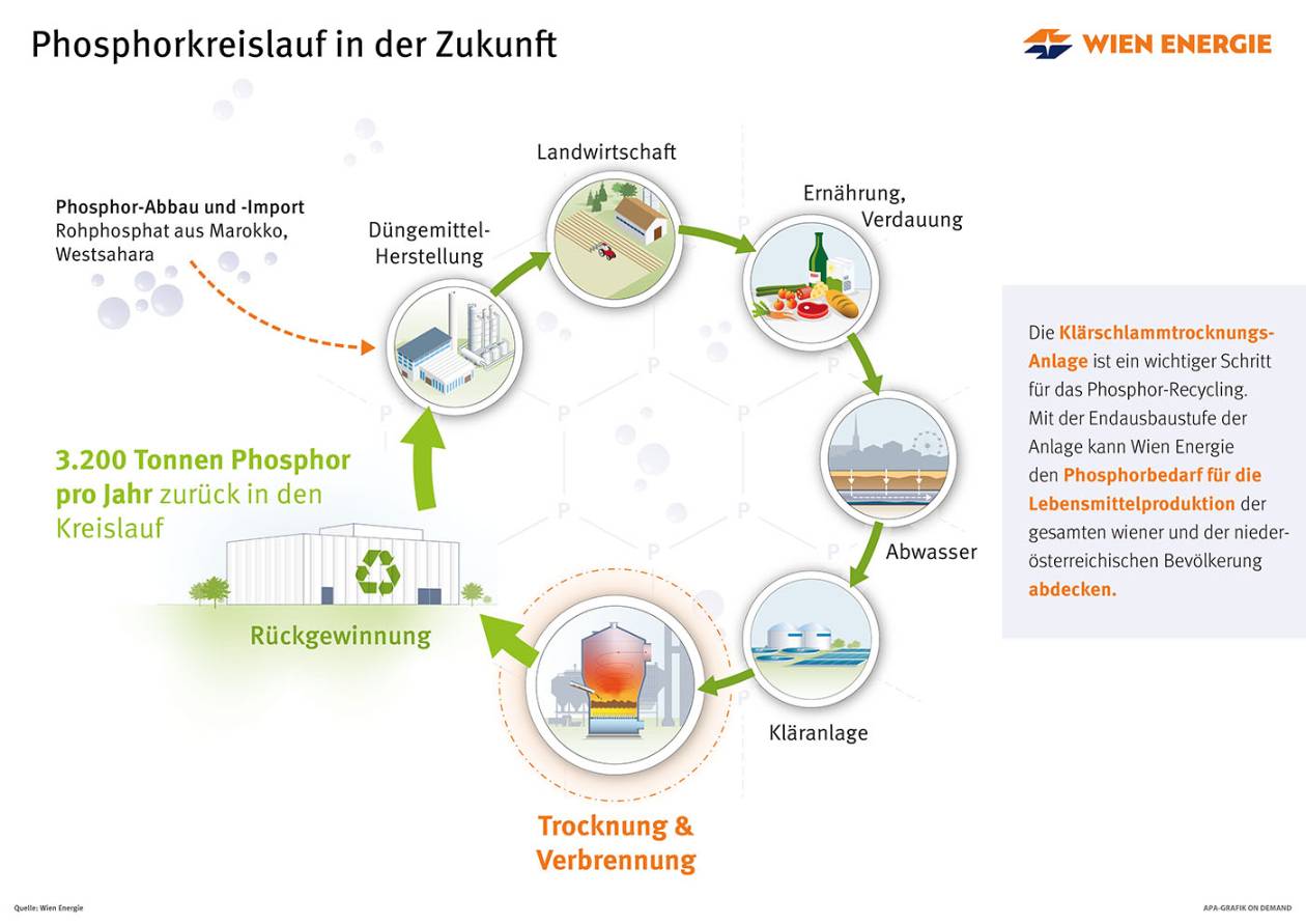 Phosphorkreis_Zukunft_Nov2024