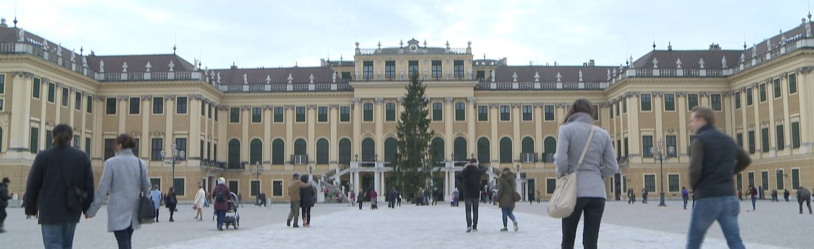 Schönbrunner Christbaum ist da