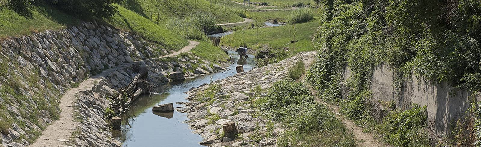 Wien im Frühling: Geheimtipps in der Natur