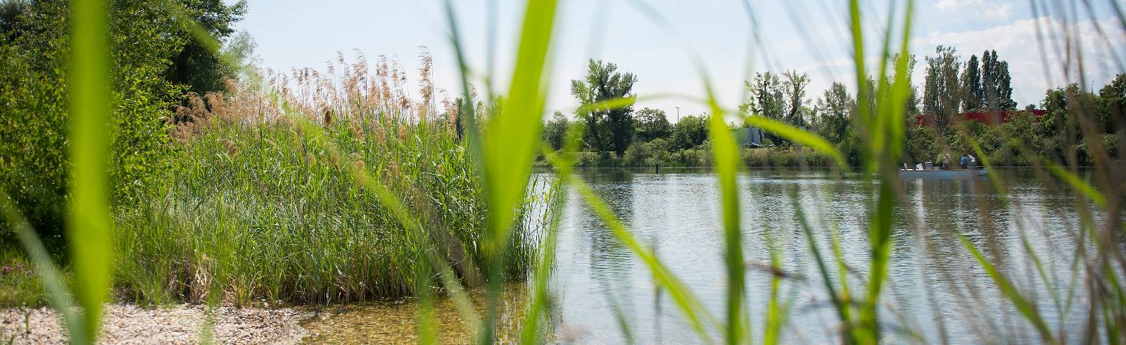 Tödliche Badeunfälle stark gestiegen