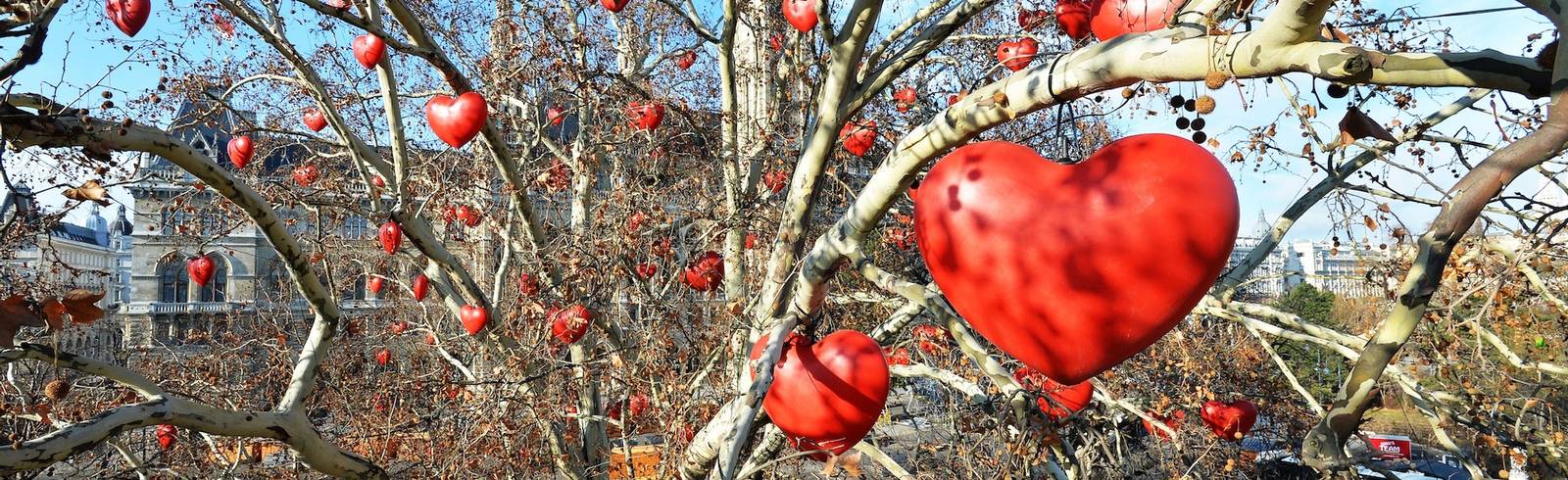 Der Herzerlbaum kehrt zurück