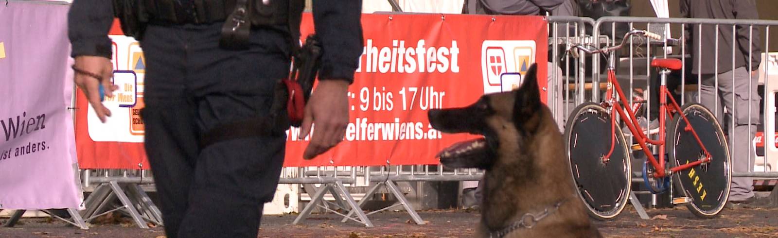 Polizeihund erschnüffelt Drogen