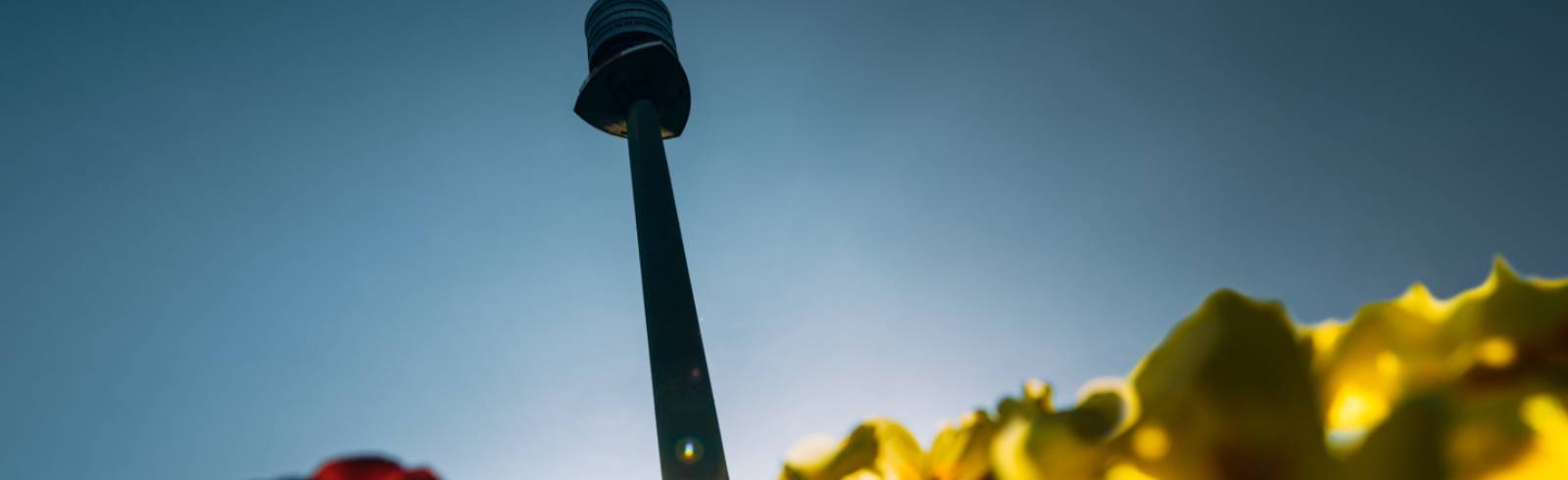 Nervenkitzel: Rutsche für den Donauturm