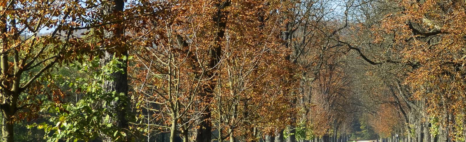 Wahlsonntag: Gutes Wetter, kaum Lust auf Urne?