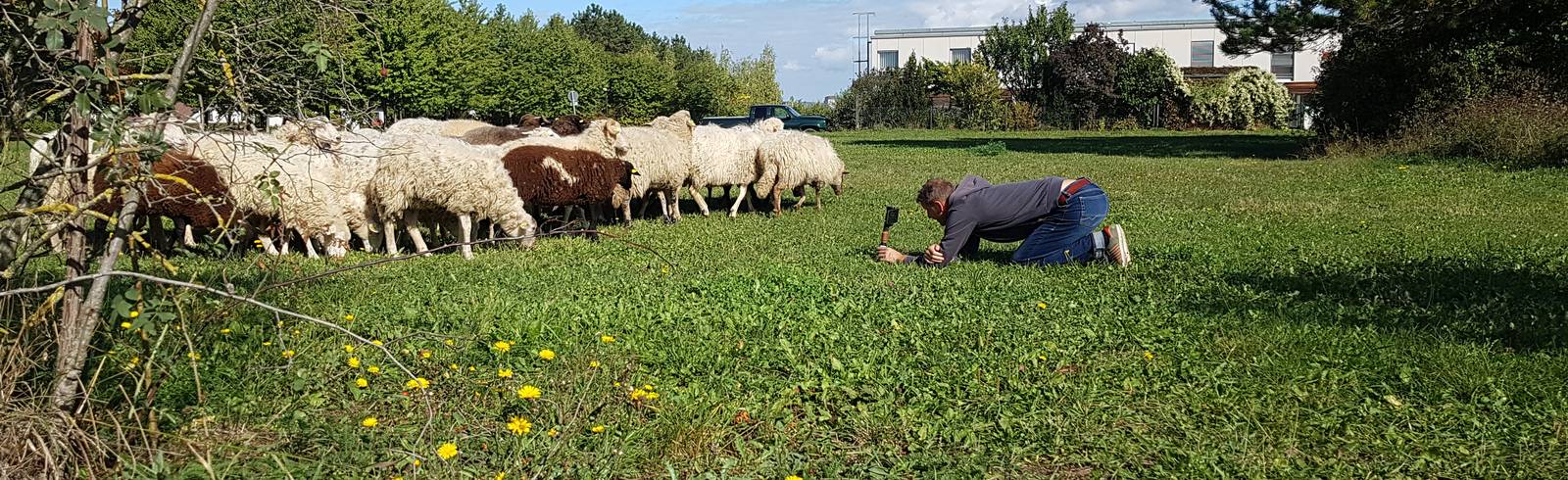 Unterwegs mit der Schäferin vom Kellerberg