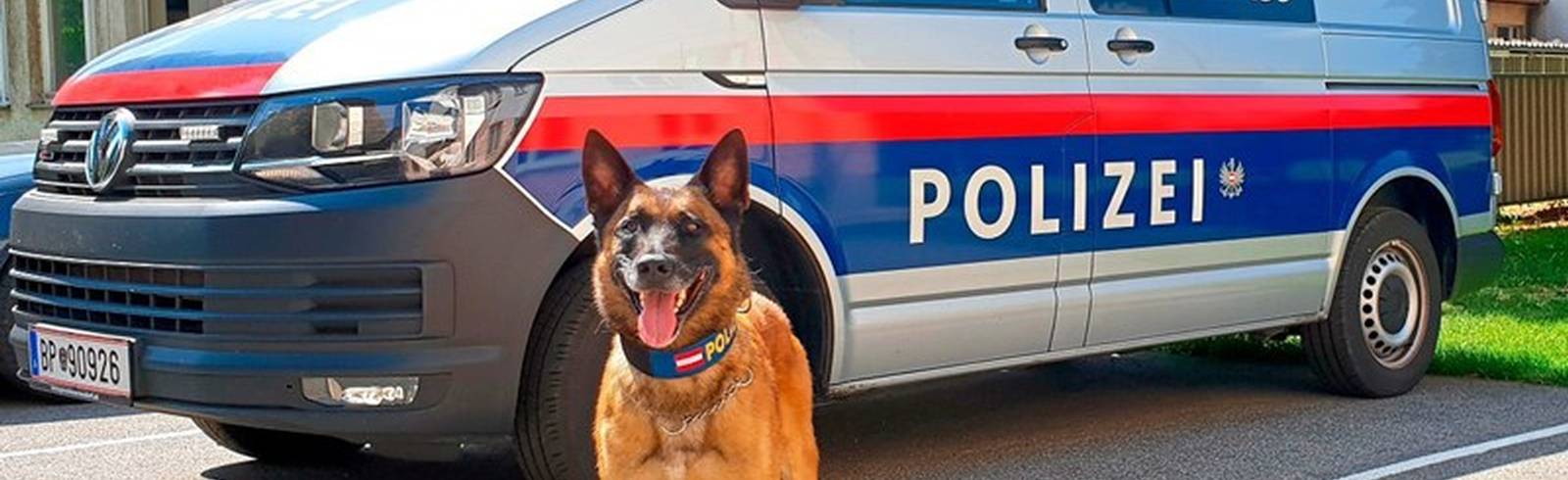 Polizeihund fand vermissten Pensionisten