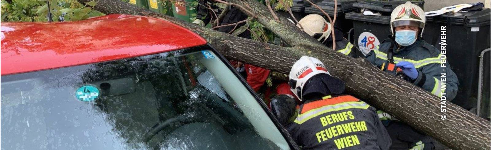 W24-Bezirksflash: Mann von Baum begraben