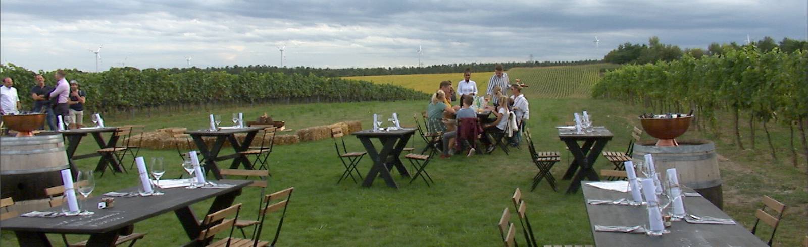 Kulinarischer Spätsommer in Carnuntum