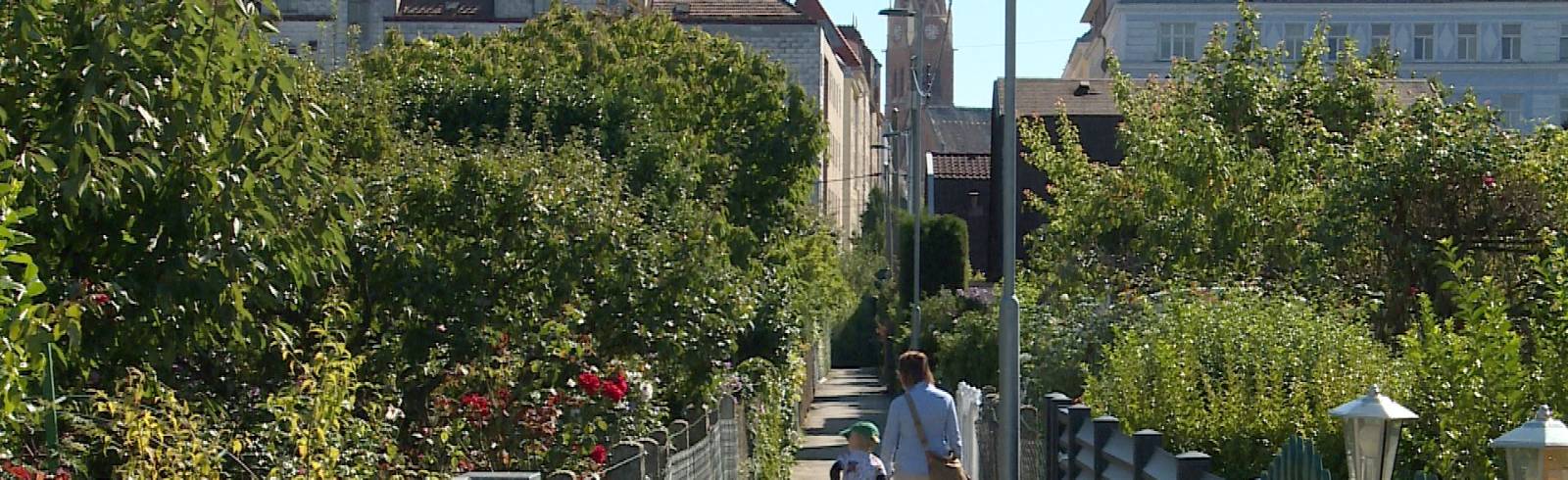 Rudolfsheim-Fünfhaus: Parkzonen-Verwirrung