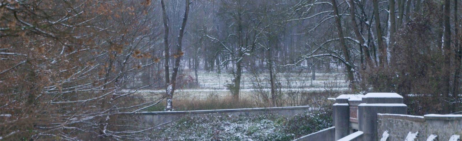 Lainzer Tiergarten: Alle Tore offen