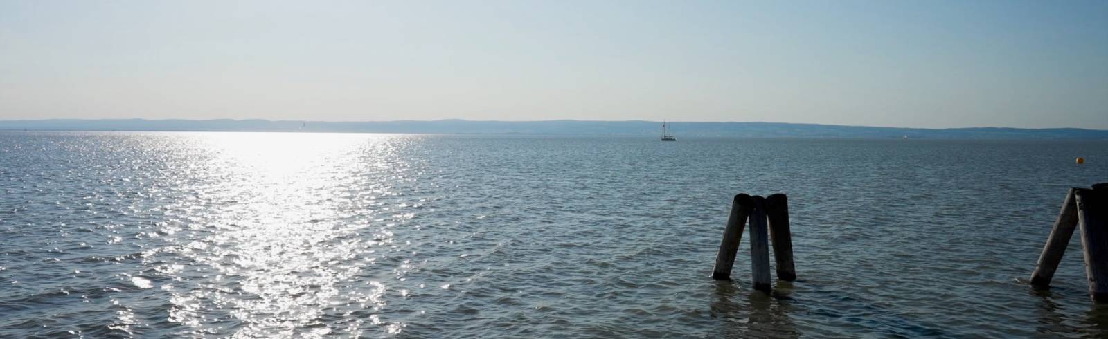 Wie schlecht geht es dem Neusiedler See?