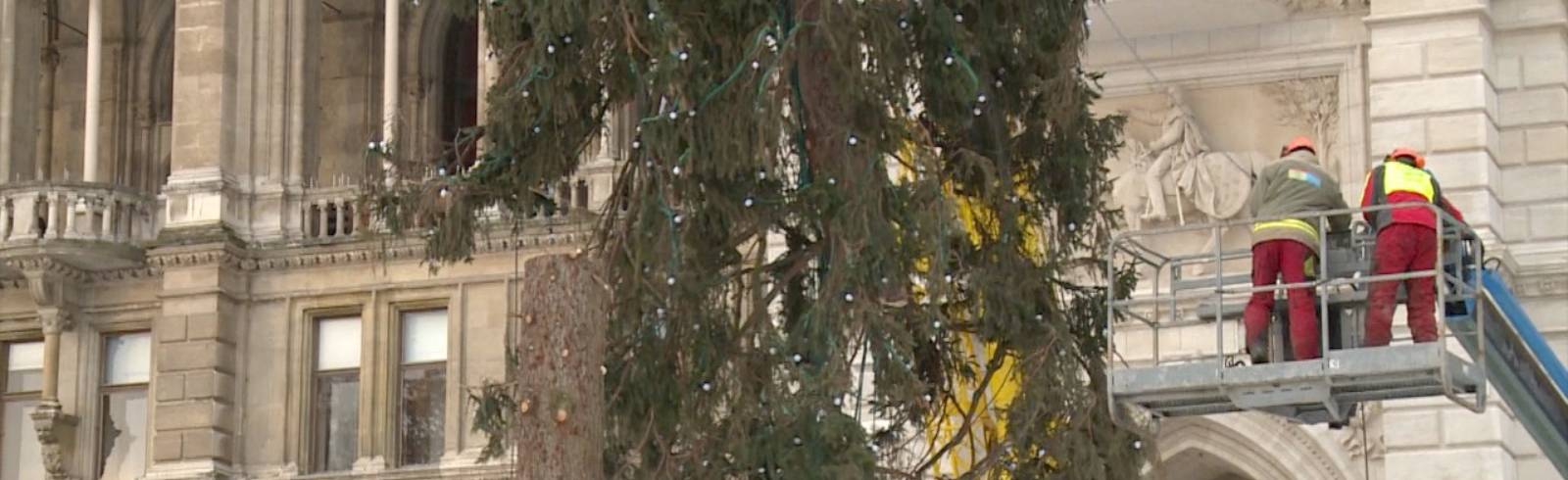 Rathausplatz: Adieu Christbaum