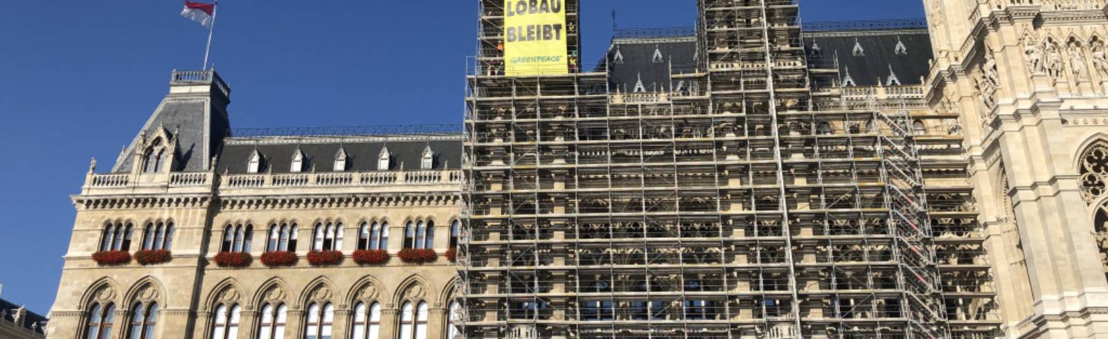 Greenpeace beendet Demonstration im Rathaus