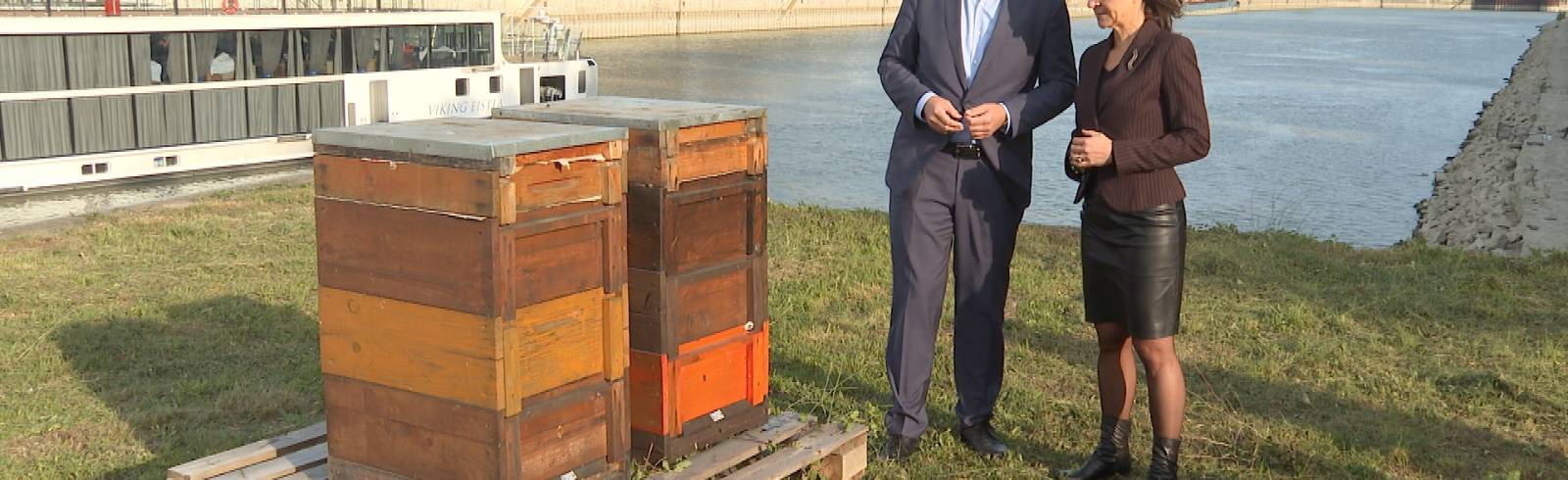 Bienen am Hafen Wien