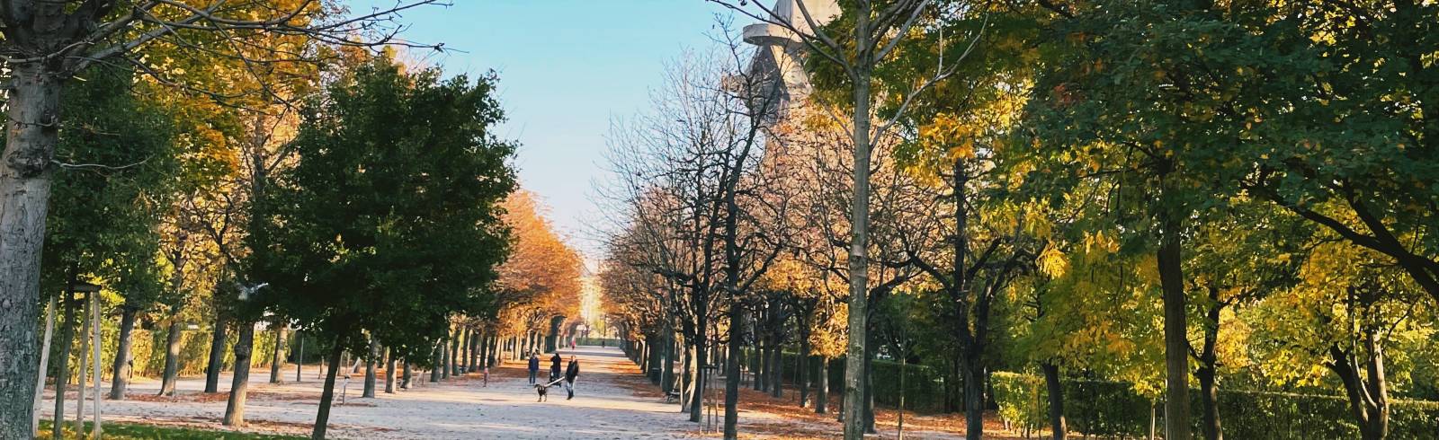 Viel mehr Sonne im Herbst 2021