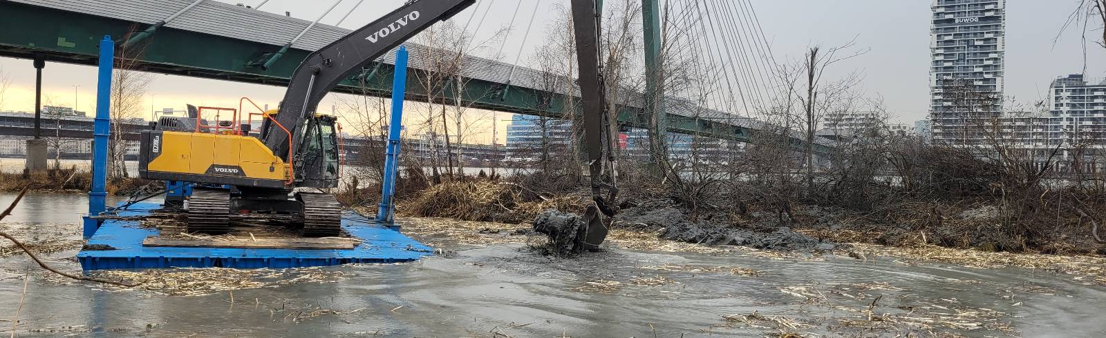 Donauinsel: Bagger buddeln Buchten aus