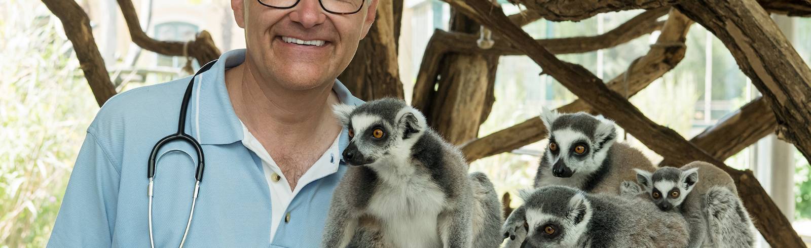 Corona-Test für Zoo-Tiere in Schönbrunn