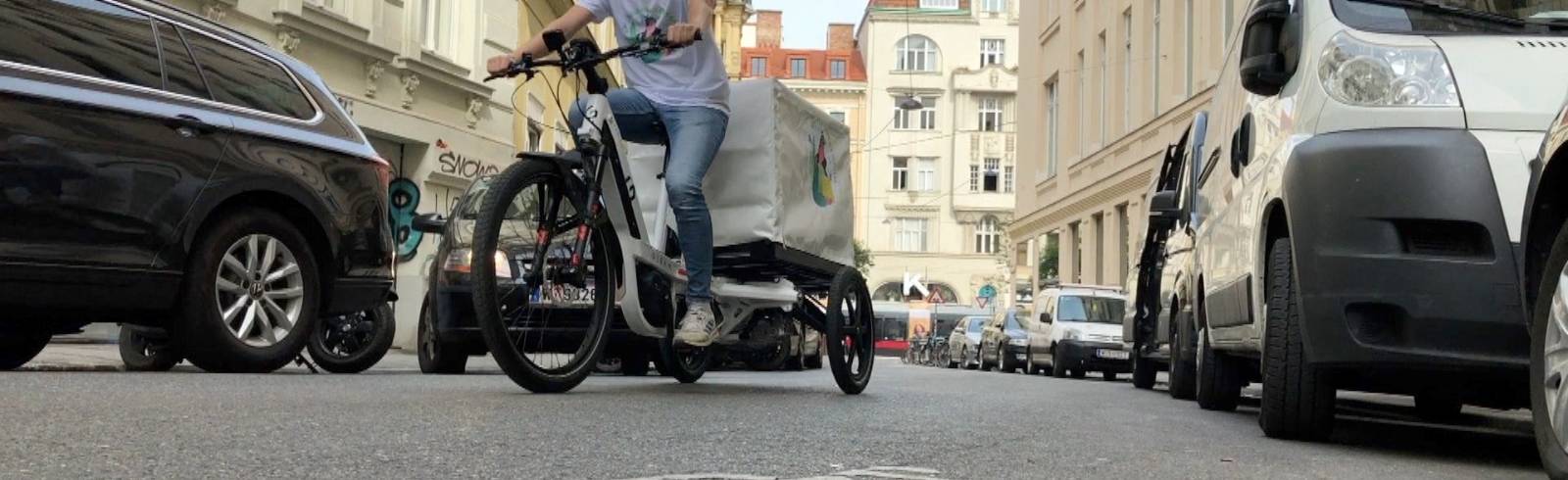 Bezirksflash: Weitere Bäume für die Zieglergasse