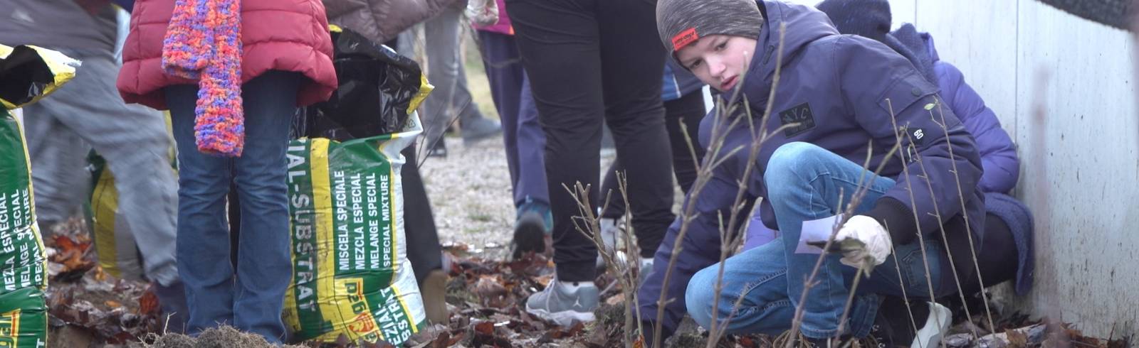 Favoriten: Erster "Tiny Forest" gepflanzt