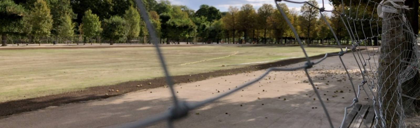 Bezirksflash: Aufregung um Augarten-Wiese