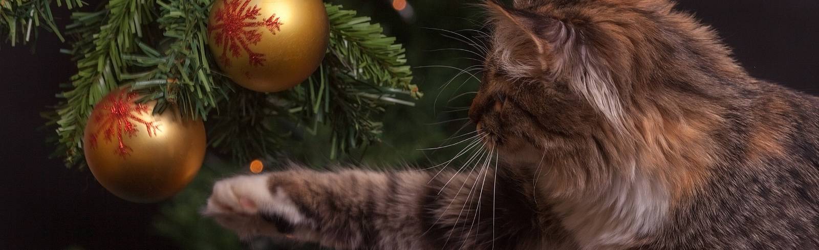 Weihnachtshandel solide, aber mit Luft nach oben