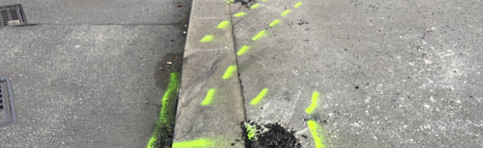 Tödlicher Verkehrsunfall am Wildgansplatz