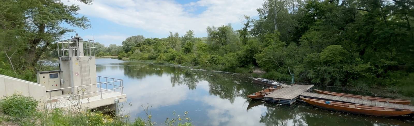 Lobau: Wasserzufuhr aus der Neuen Donau