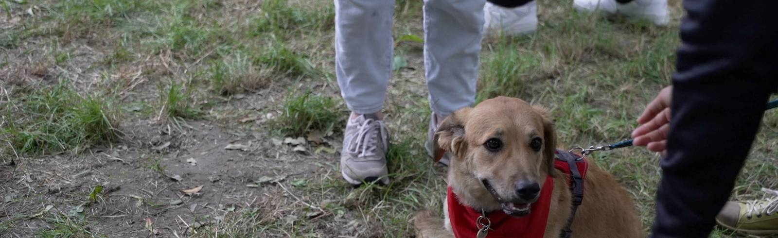 Erstes „Bark Date“ im Prater