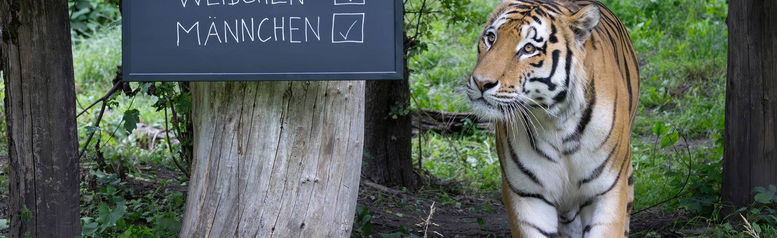 Tierische Inventur im Tiergarten Schönbrunn