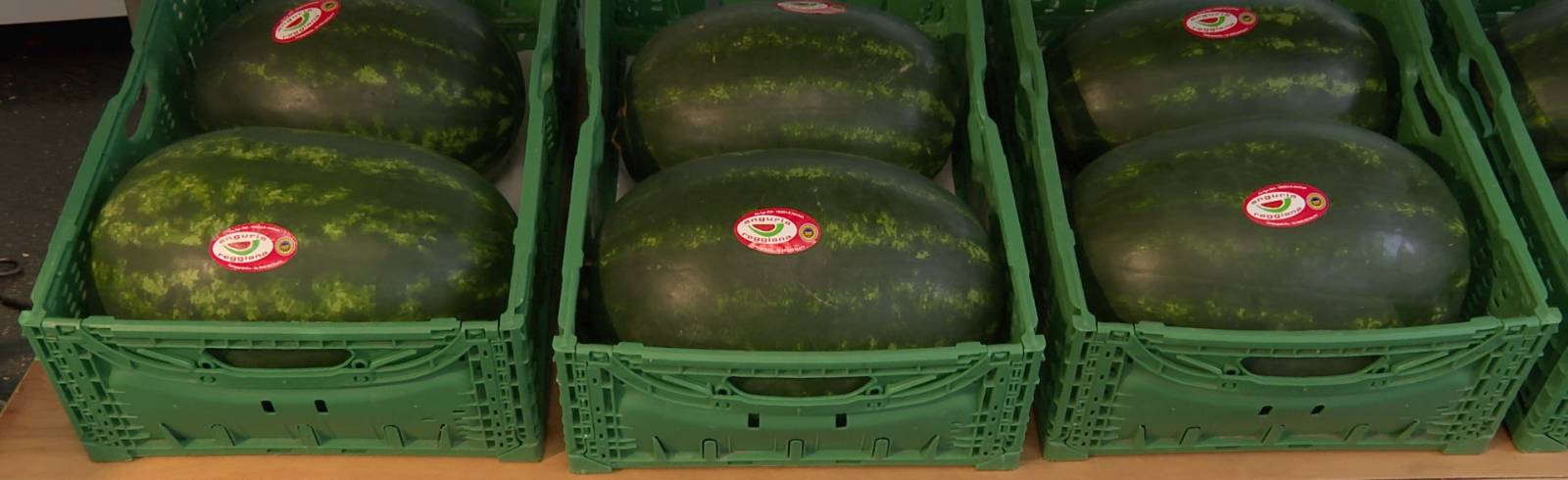 Alles Melone im MQ