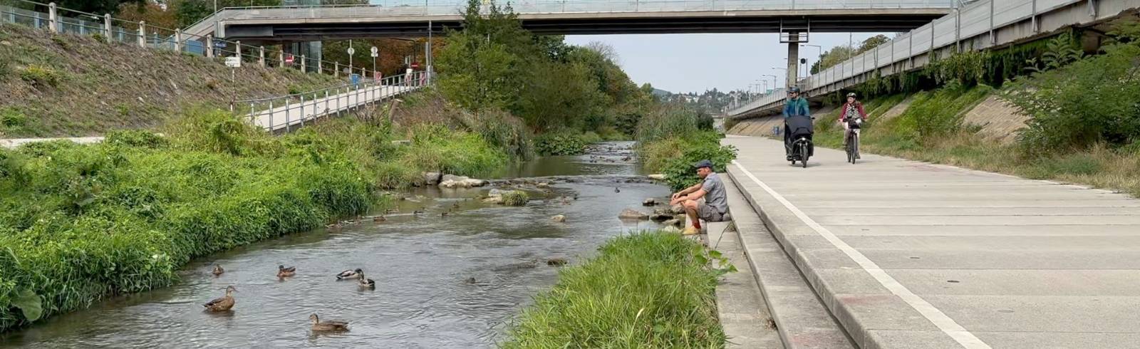 Wienfluss: Naturjuwel statt Betonbett