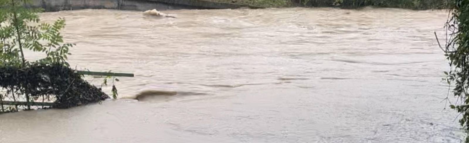 Wienfluss steigt weiter, Stadt sperrt A1-Auf- und Abfahrt