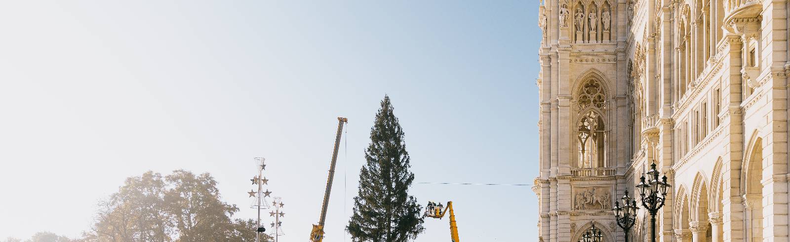 Weihnachtsbaum am Rathausplatz aufgestellt