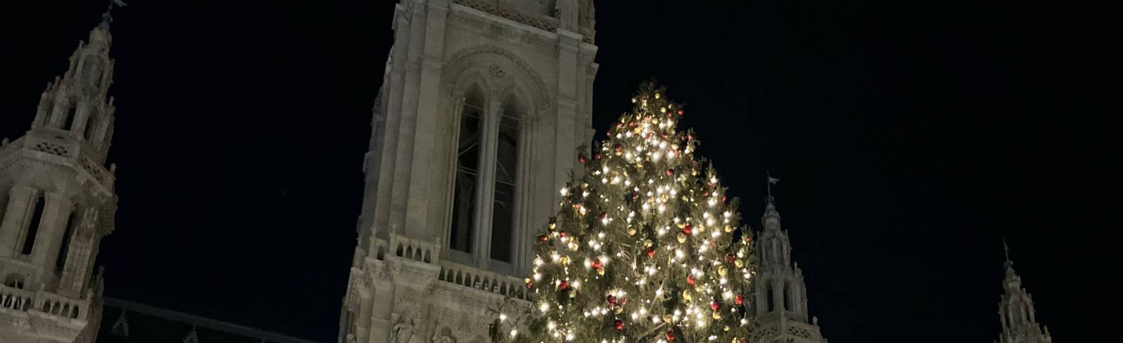 Ludwig und Mikl-Leitner erleuchten Christbaum am Rathausplatz