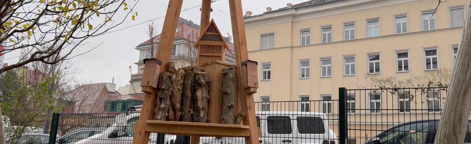 Bezirksflash: Erste Biodiversitätsinsel in der Josefstadt