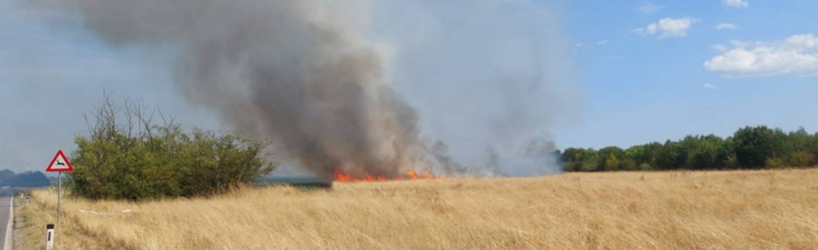 Waldbrand bei Gerasdorf: Feuerwehr-Großeinsatz