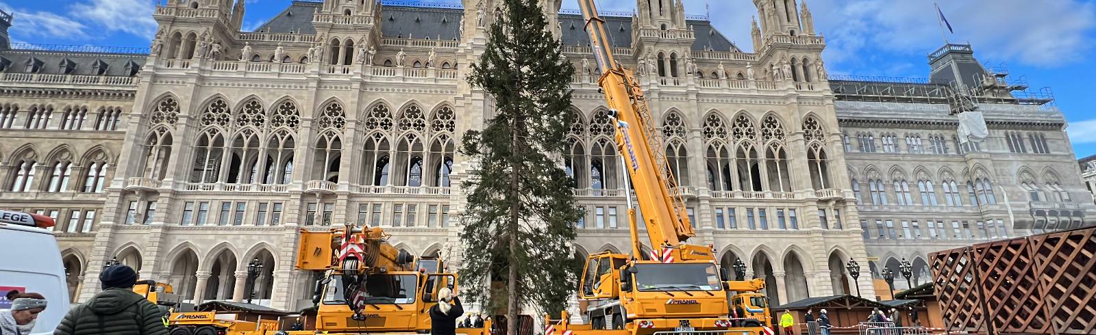 Rathausplatz: Weihnachtsbaum steht