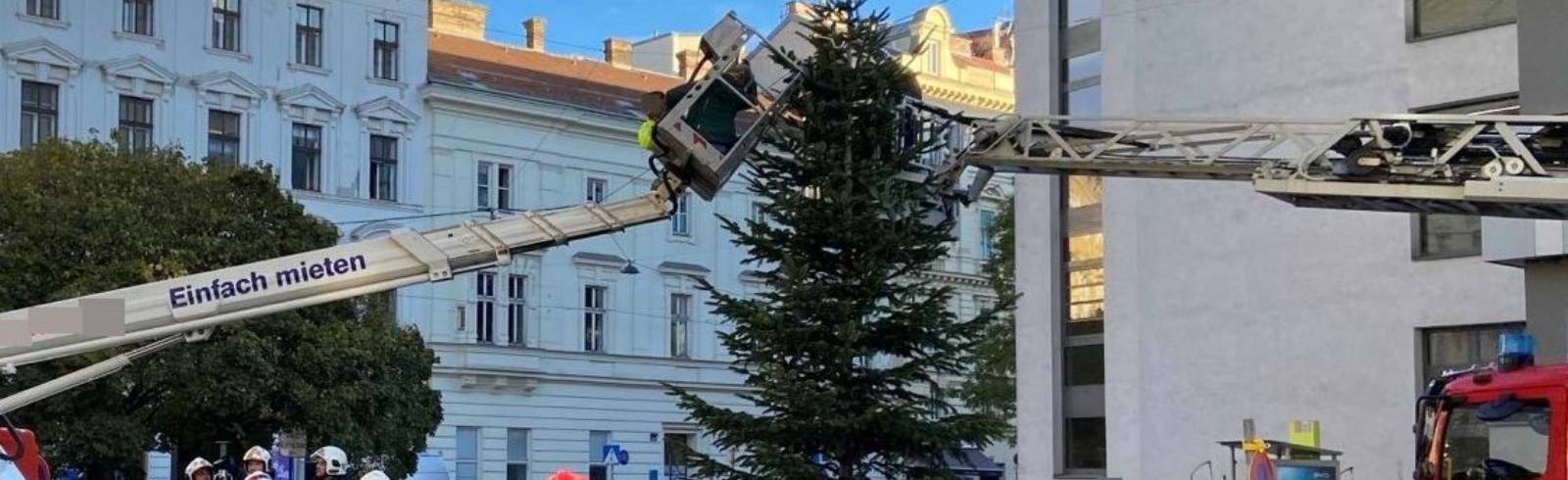 Beinahe Absturz beim Weihnachtsbaum schmücken