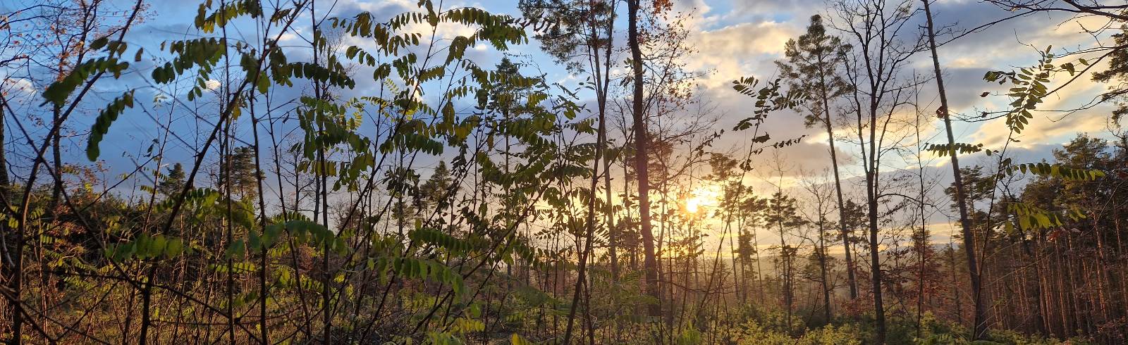 Wochenendwetter: Nach Regen kommt Sonne