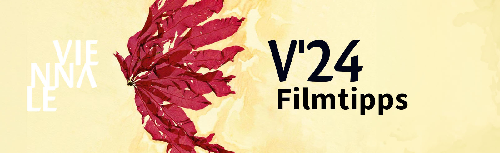 Viennale 2024 Filmtipps