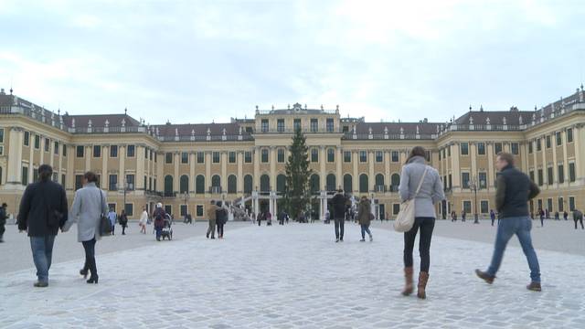 Schönbrunner Christbaum ist da