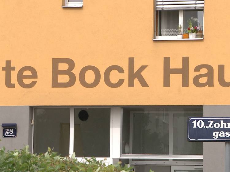 "Bock for you": Preis für sozial engagierte Asylwerber*innen