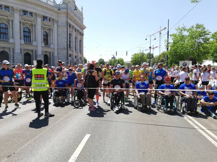 Wings for Life Run: 13.500 in Wien mit dabei