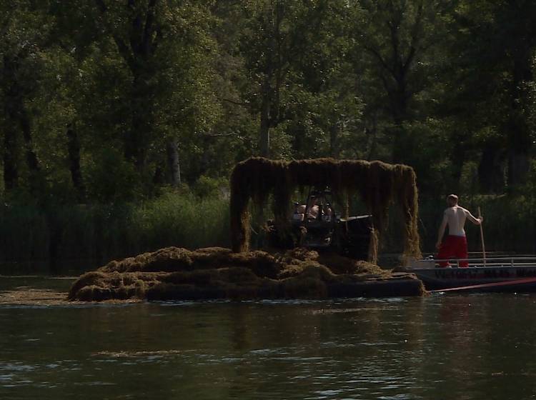 Alte Donau: Großeinsatz wegen Wasserpflanzen