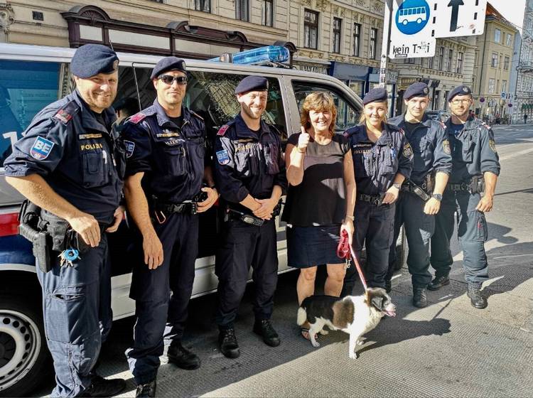 Polizei rettet blinden Hund "Rico"