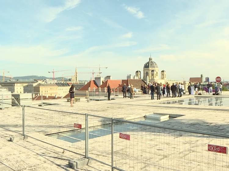 "Libelle" im Anflug auf MQ