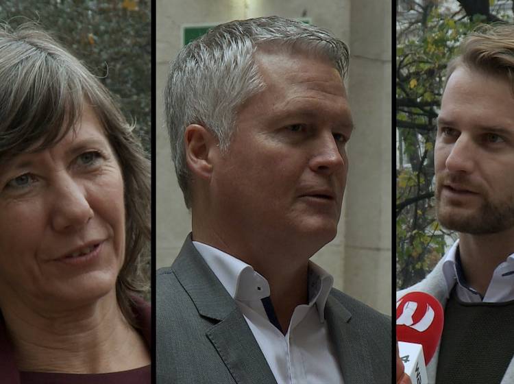 Grüne-Spitzenwahl: Noch zwei Wochen Ungewissheit