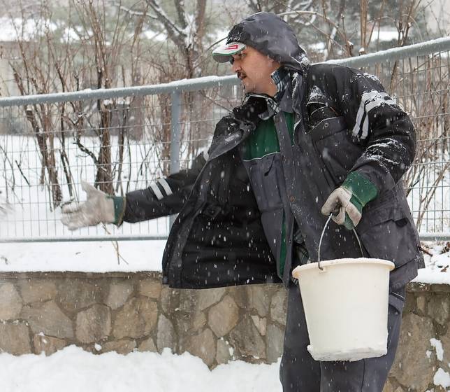 Wetter: Eis, Schnee, Graupel im Anmarsch