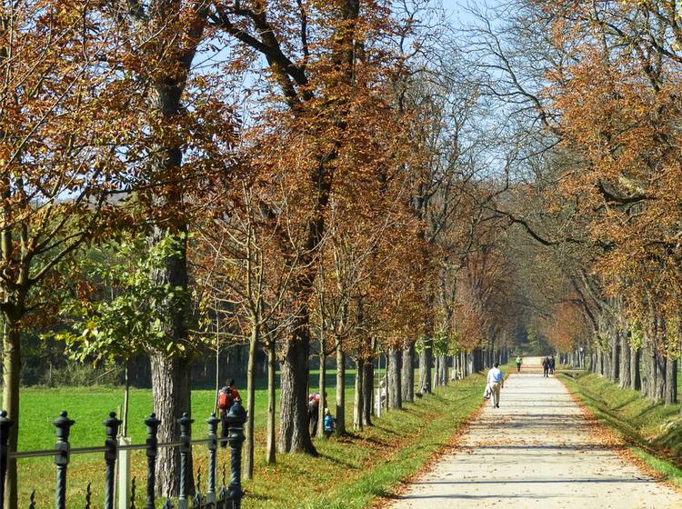 Wahlsonntag: Gutes Wetter, kaum Lust auf Urne?