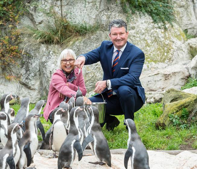 Schönbrunn: Das ist der neue Zoo-Direktor